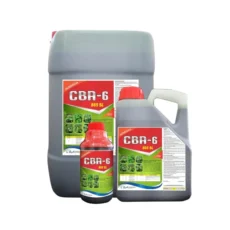 CBA-6 865 SL